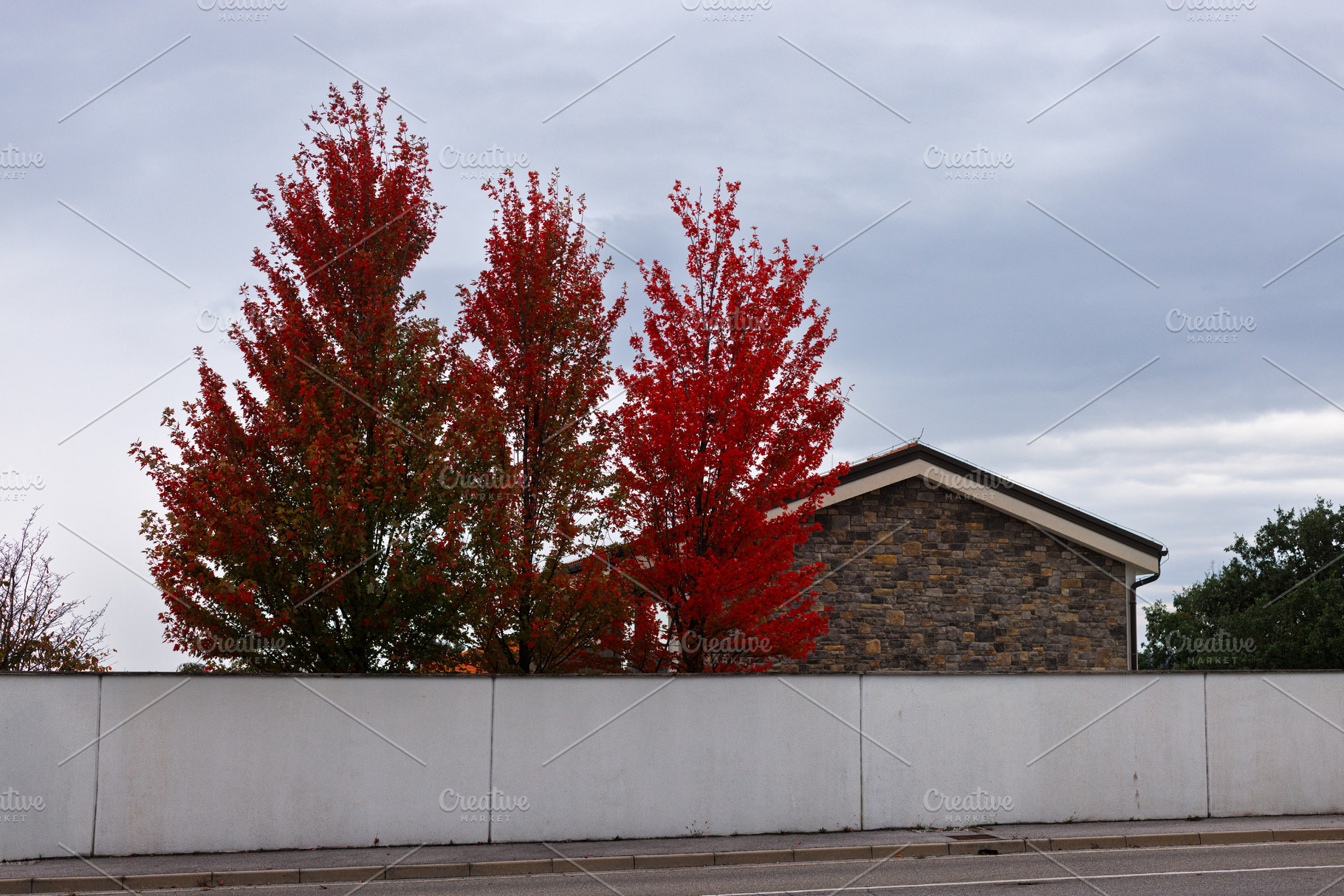Colorful trees behind house wall on clouds sky, a Nature Photo by Bepslabor