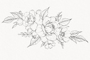Procreate flower stamp, peony brush, a Brush Add-On by AnnaPolitmerskaja (Thumbnail 10 of 11)