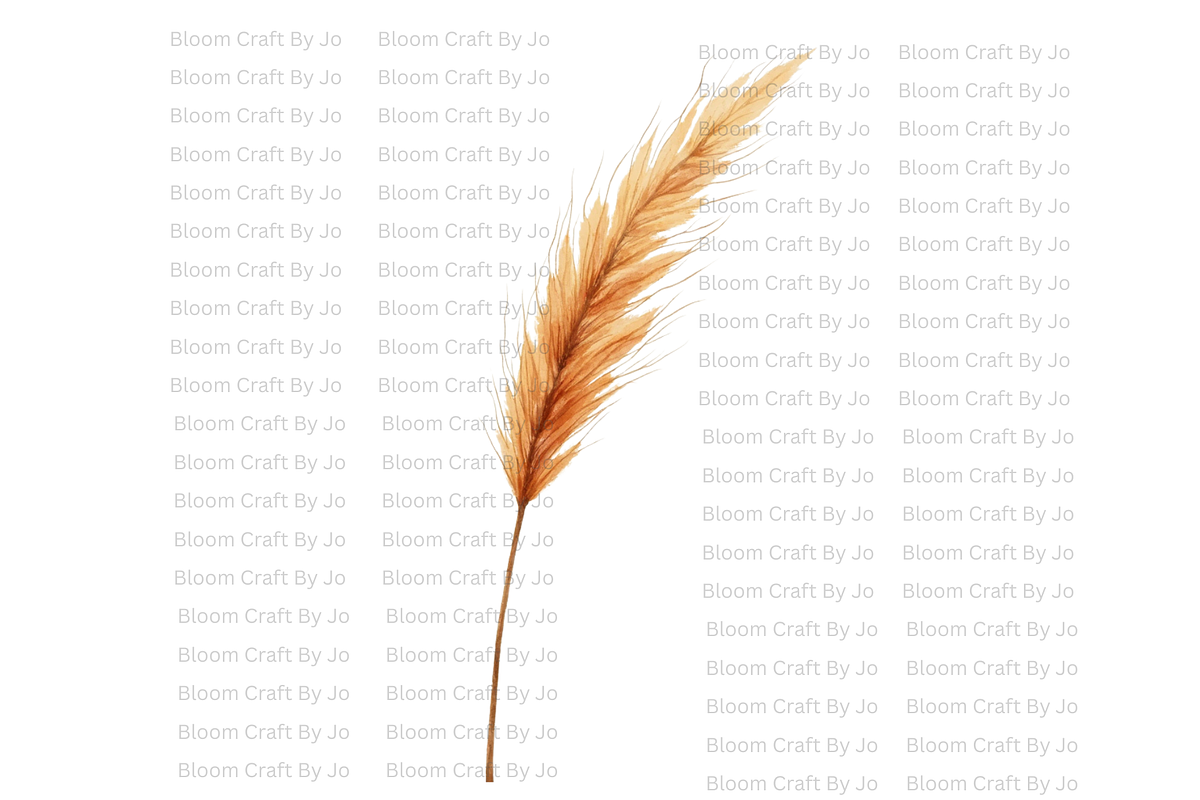 Dried Pampas Grass, a Decorative Illustration by Bloom Craft Creations (Photo 7 of 10)