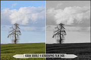 Eastman Kodak Black and White Films, a Plug-in Add-On by Raztrend (Thumbnail 24 of 30)
