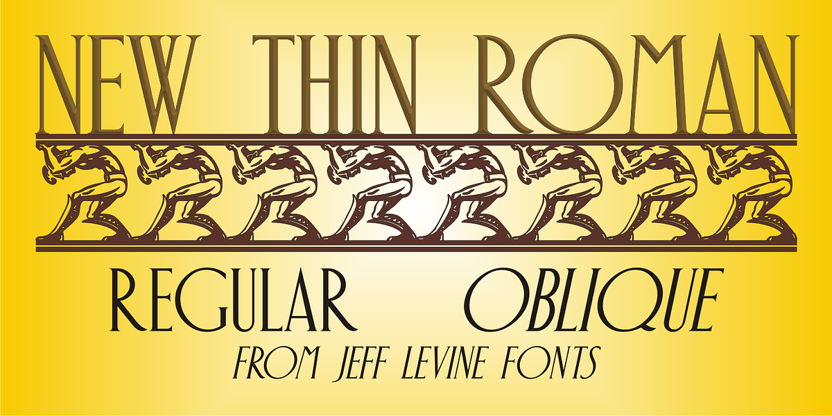 New Thin Roman JNL, a Serif Font by Jeff Levine Fonts