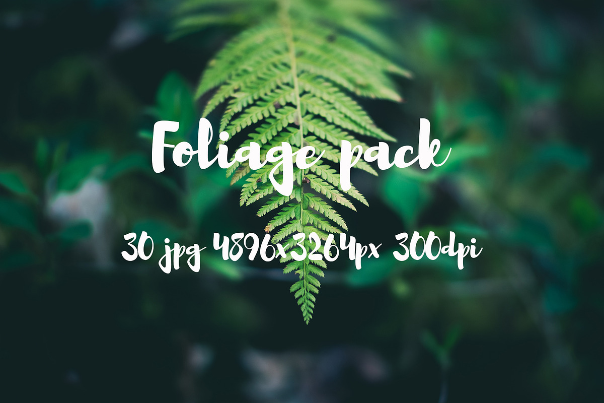 Foliage pack, a Templates & Theme by ApertureVintage (Photo 7 of 21)