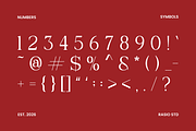 Velique Modern Editorial Serif Font, a Serif Font by Rasio Studio (Thumbnail 4 of 9)