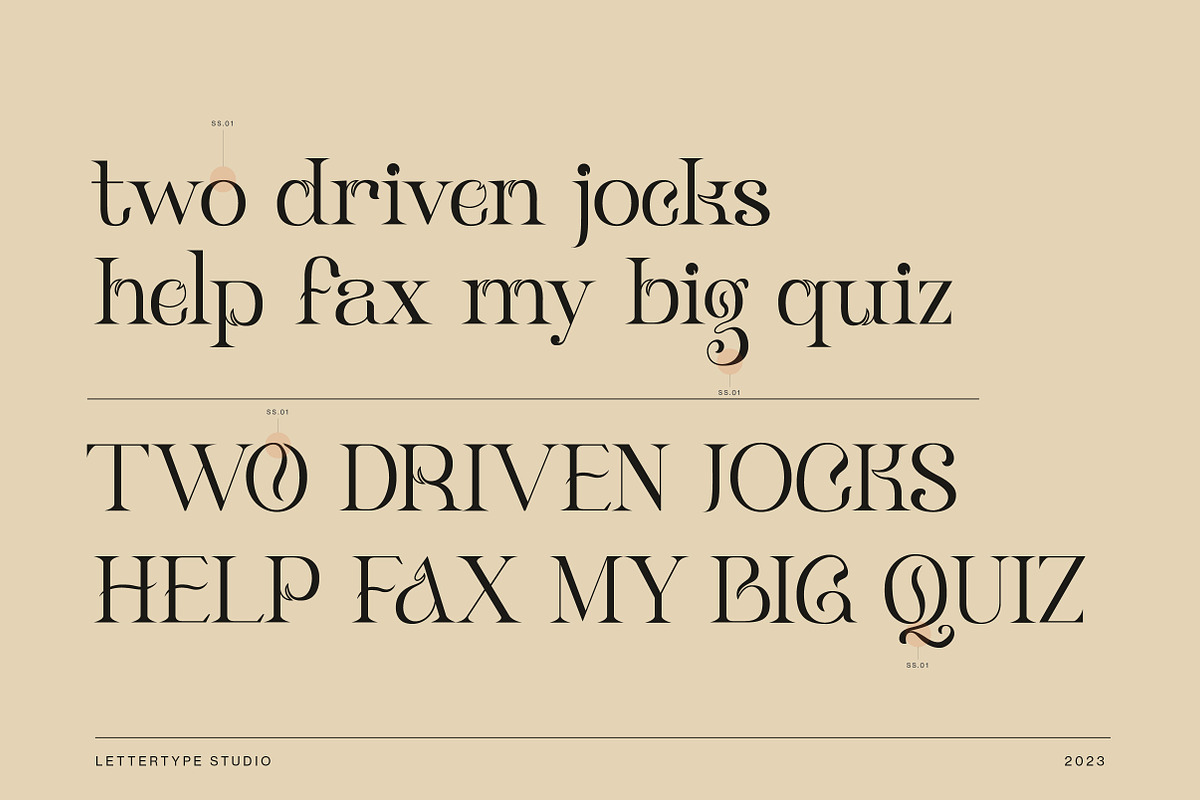 Klandestin Modern & Classical Serif, a Serif Font by Lettertype Studio (Photo 5 of 20)