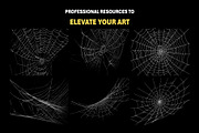 200+ Spider Web Overlays, a Nature Photo by Mikel Blazgad (Thumbnail 4 of 10)