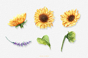 Honey Bee and Wild Flowers clipart, an Illustration by GevelStudio (Thumbnail 4 of 12)