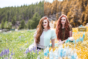 Wonderland Lightroom Presets Pack