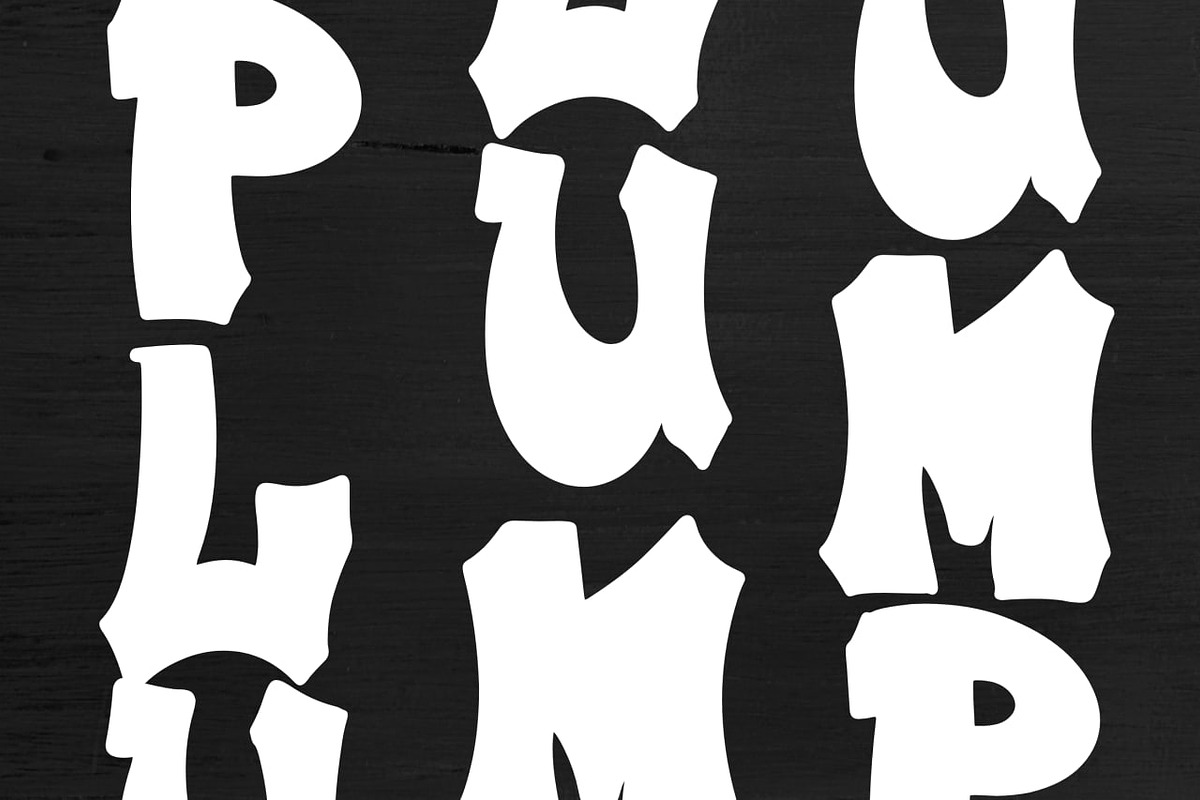 Plump Parade, a Serif Font by Dm Studio (Photo 2 of 10)