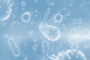 Digital image of green bacterium 3d, a Photo by wavebreak