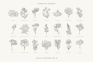 Elegant Botanica VOL.02