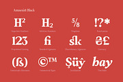 Amnesist | 12 Fonts, a Serif Font by Skinny Type (Thumbnail 5 of 12)