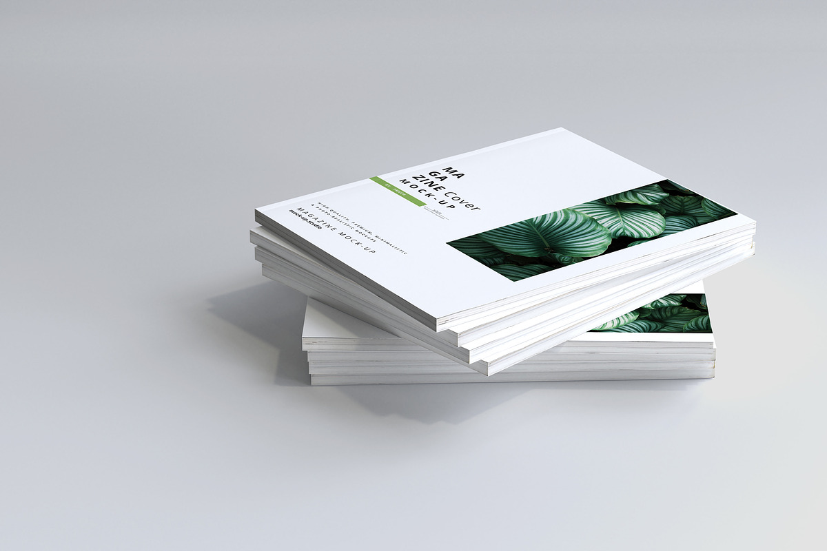Magazine Mock-ups, a Print Template by pmvch (Photo 2 of 17)