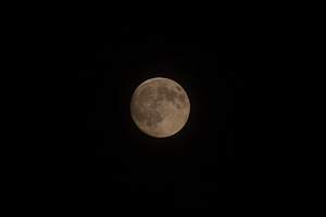 Detailed full moon suspended in dark, a Nature Photo by Elena Vagengeim