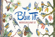 Watercolor blue tit bird clipart, an Illustration by Art & Things (Thumbnail 1 of 8)