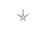 Minimalist Crystal Star Logo, a Branding & Logo Template by Luxury Logos (Thumbnail 3 of 4)