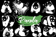 Panda, an Animal Illustration by Ecaterina Sciuchina (Thumbnail 2 of 6)