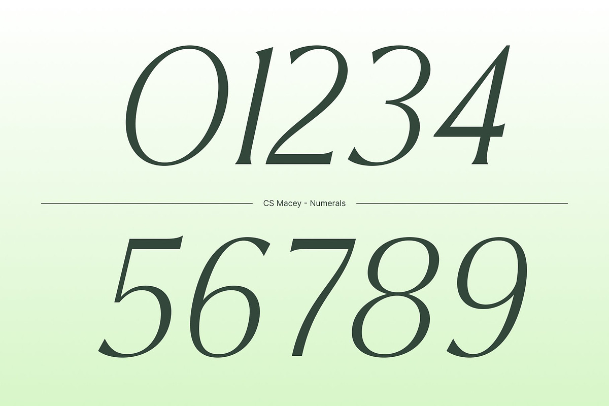 CS Macey – Art Nouveau Font, a Serif Font by Craft Supply Co. (Photo 5 of 8)