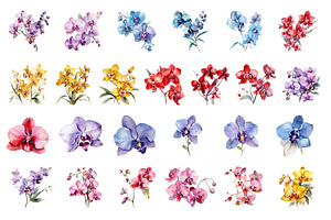 Orchids. Watercolor Clipart