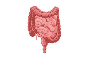 Smooth muscles tissue with, an Illustration by Things for designers