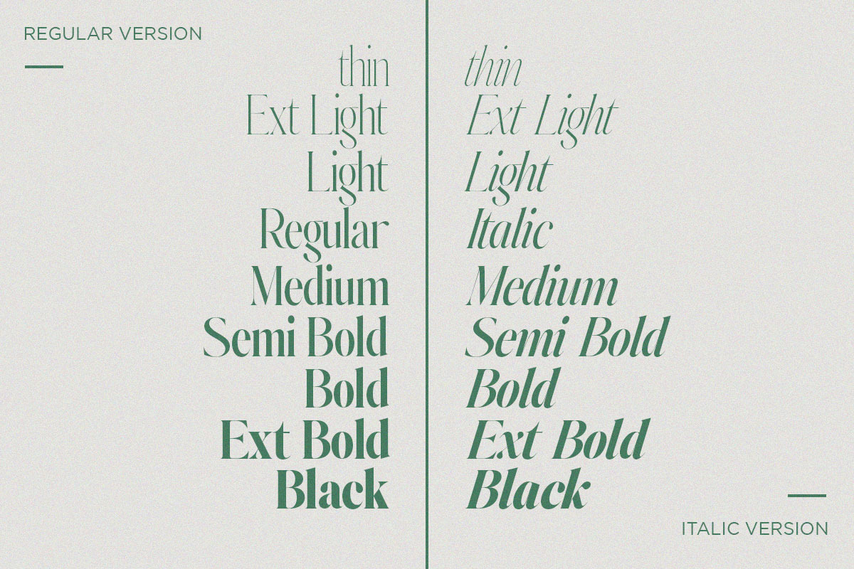 Johannes Keppler Family (18 Fonts), a Serif Font by Positive TypeFoundry (Photo 13 of 15)