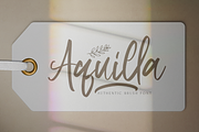Aquilla - Brush Script Font, a Script Font by StringLabs (Thumbnail 1 of 11)