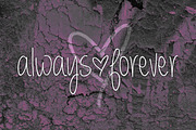 Always Forever, a Script Font by Brittney Murphy Design (Thumbnail 1 of 3)