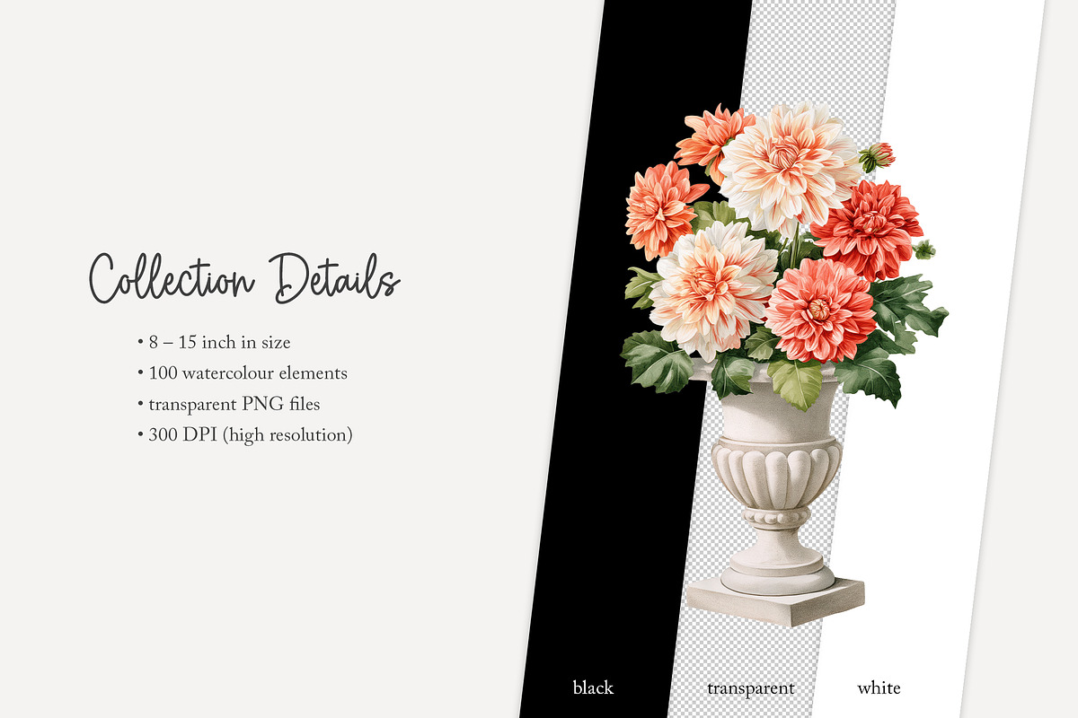 100 watercolour dahlia clip art, a Seasonal Illustration by Poppy Lane Studio (Photo 12 of 12)