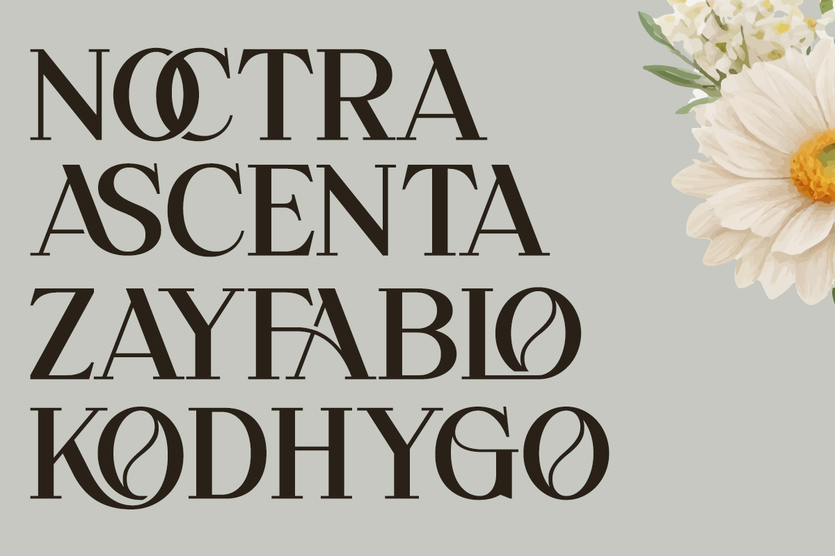Overse - Modern Serif Typeface, a Serif Font by Font Liner (Photo 4 of 12)