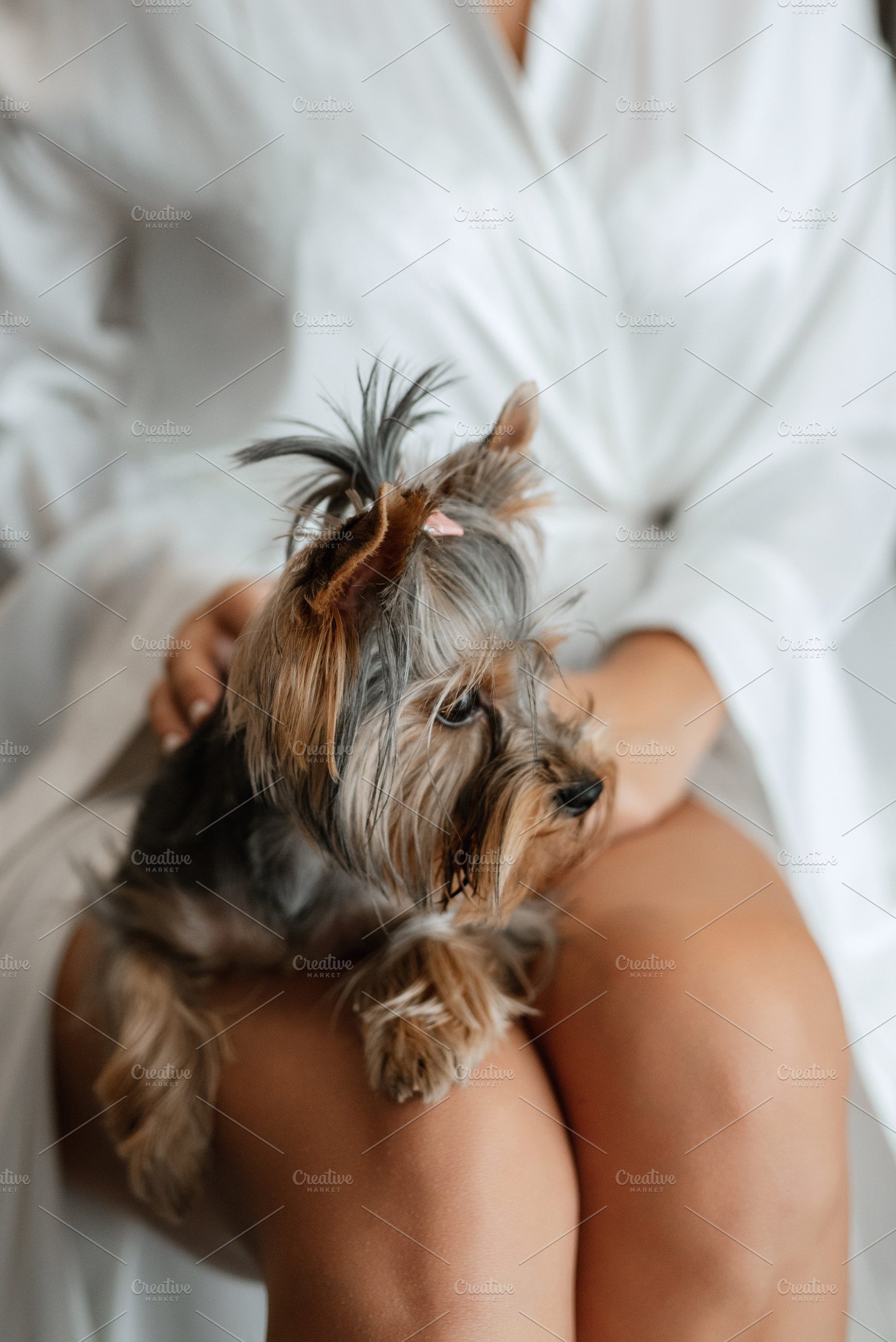 bride young girl in lingerie in the morning in the room, a Person Photo by Weddings, People, Travel