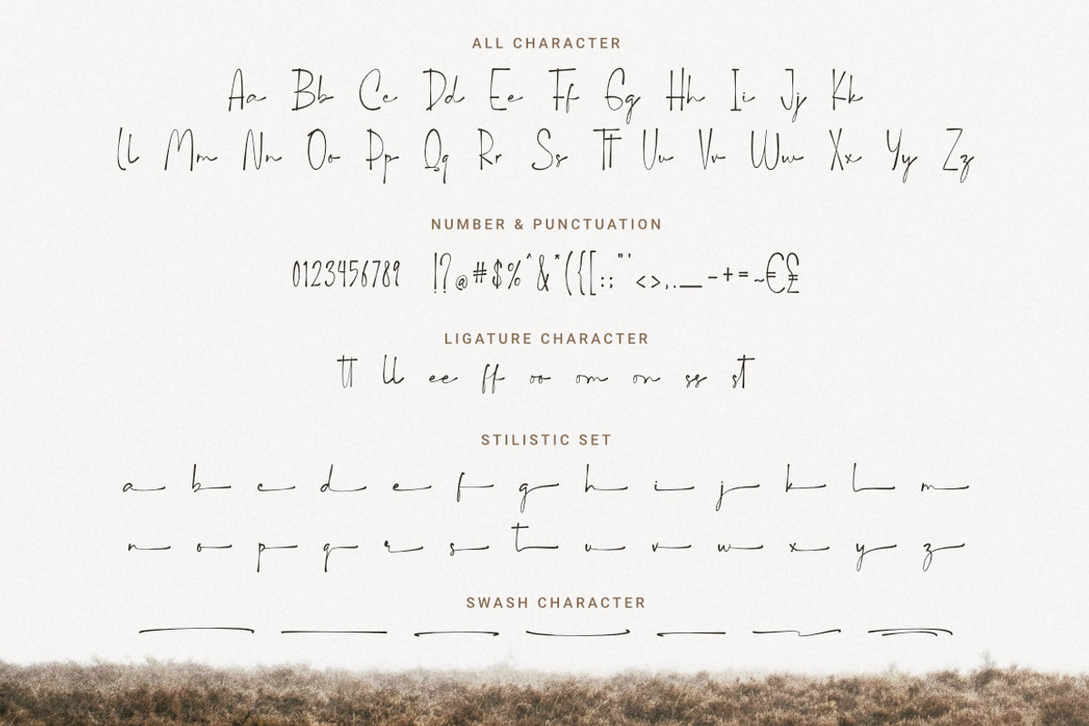 The Camellia - Modern Handwritten, a Handwritten Font by Bluestype Studio (Photo 8 of 8)