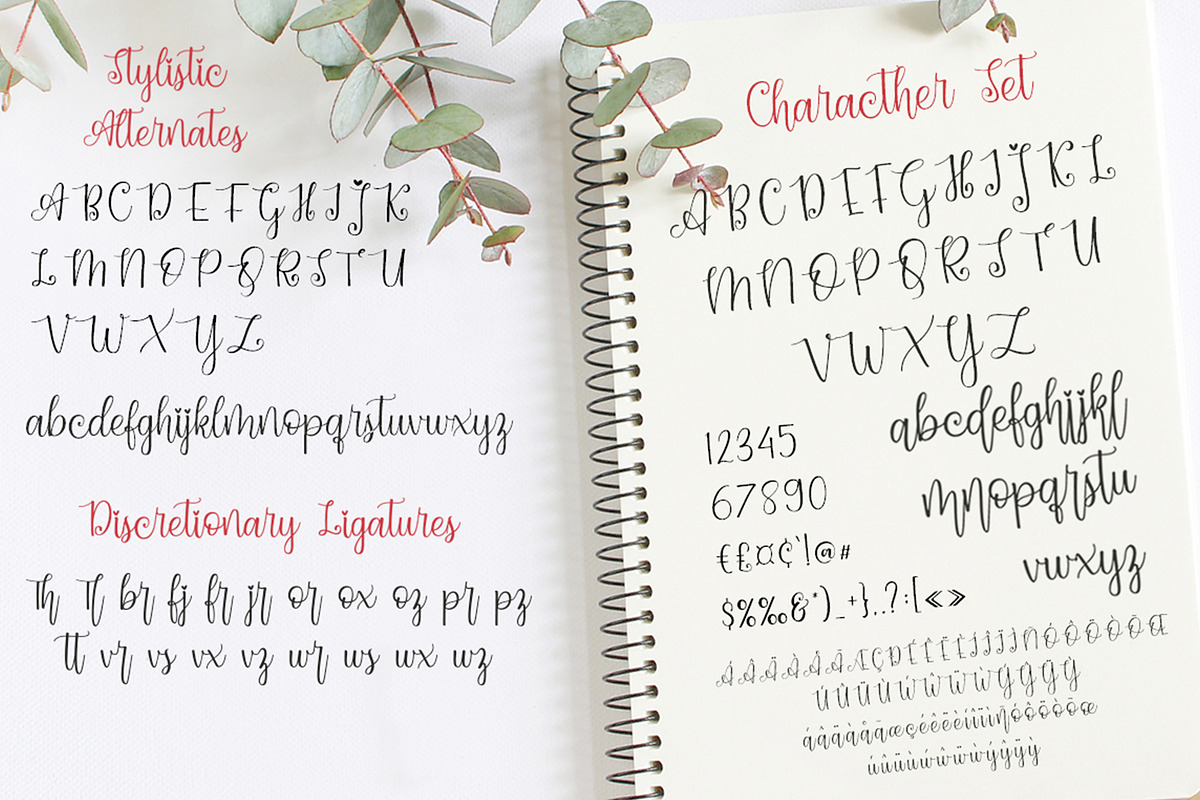 Dynamic Love | Calligraphy Script preview 4