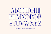 BRANCH - Elegant Serif Typeface, a Serif Font by zeenesia (Thumbnail 15 of 16)