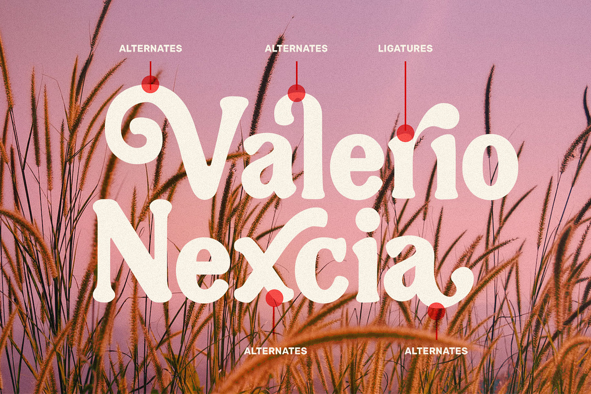 NugiaVintage, a Serif Font by ToniStudio (Photo 6 of 10)