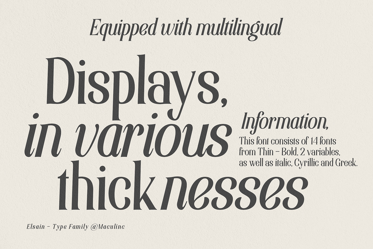 Elsain - Serif Font (16 Fonts), a Serif Font by Maculinc Type (Photo 2 of 11)