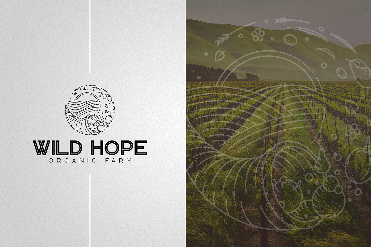 Kavo Font Bundle 17in1 + 24 logos, a Serif Font by VP Fonts (Photo 5 of 23)