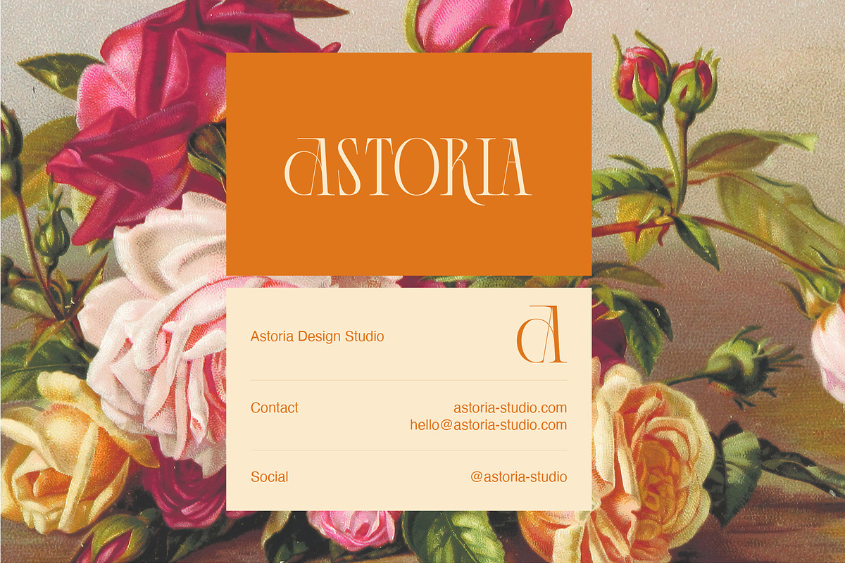 Handwritten Fonts and more Bundle, a Sans Serif Font by VladCristea (Photo 30 of 58)