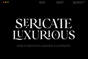 Sericate - Ligature Font, a Serif Font by Mulkan Nazir (Thumbnail 1 of 19)