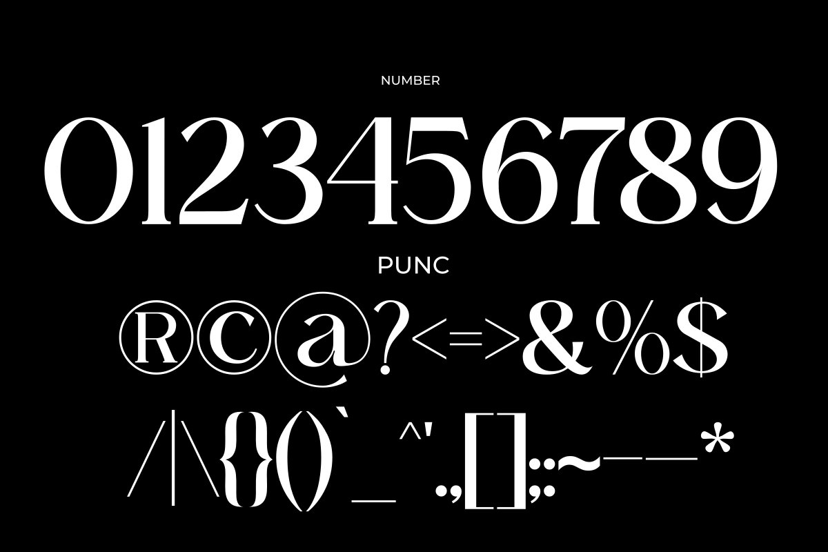 Domilla, a Serif Font by zaaintype (Photo 9 of 12)