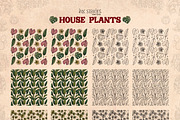 House Plants, an Object Illustration by Ink Stories (Thumbnail 22 of 23)