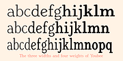 Youbee, a Serif Font by Ingrimayne Type (Thumbnail 7 of 12)