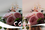 The Whole Kit and Kaboodle Bundle, an Action Add-On by Will Milne Photography (Thumbnail 15 of 20)