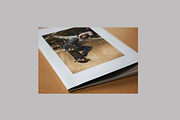 Brochure Mockup Set, a Books & Magazine Mockup by Croma Studio (Thumbnail 3 of 18)