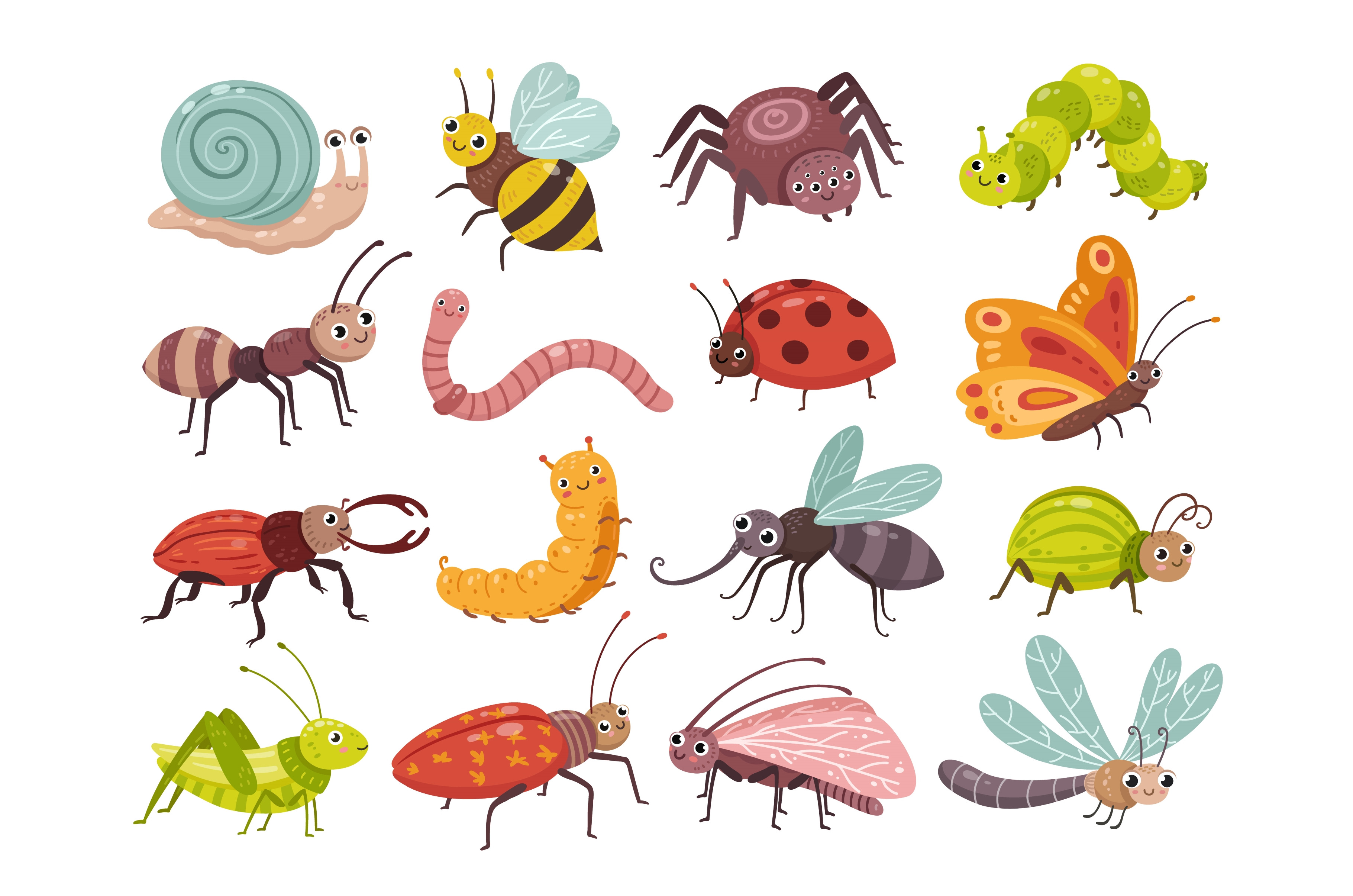 Cartoon insects. Isolated insect, a Graphic by LadadikArt