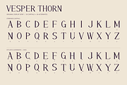 Vesper Thorn - Elegant Editorial, a Serif Font by Colorsfav (Thumbnail 2 of 5)