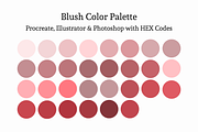 Color Palette Procreate Illustrator