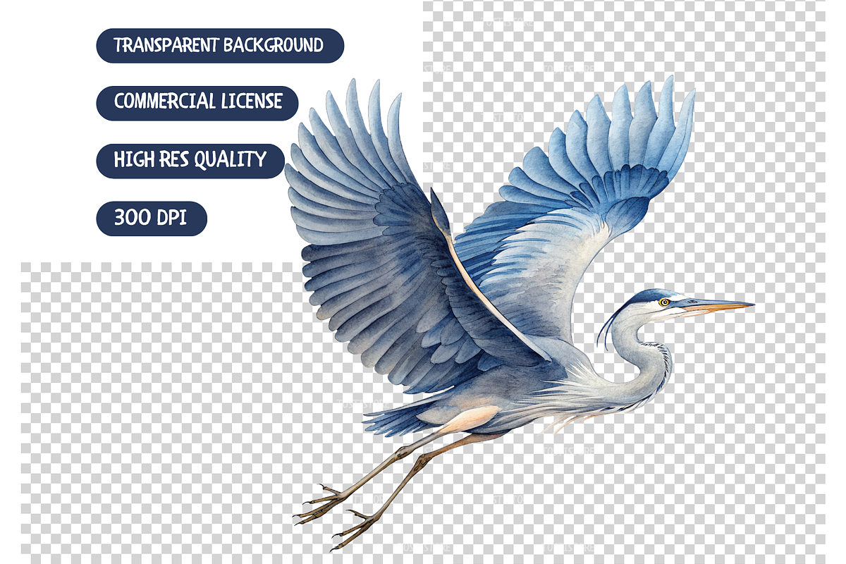 Blue Heron Collection Clipart Bundle, an Animal Illustration by TatiMockup (Photo 5 of 5)