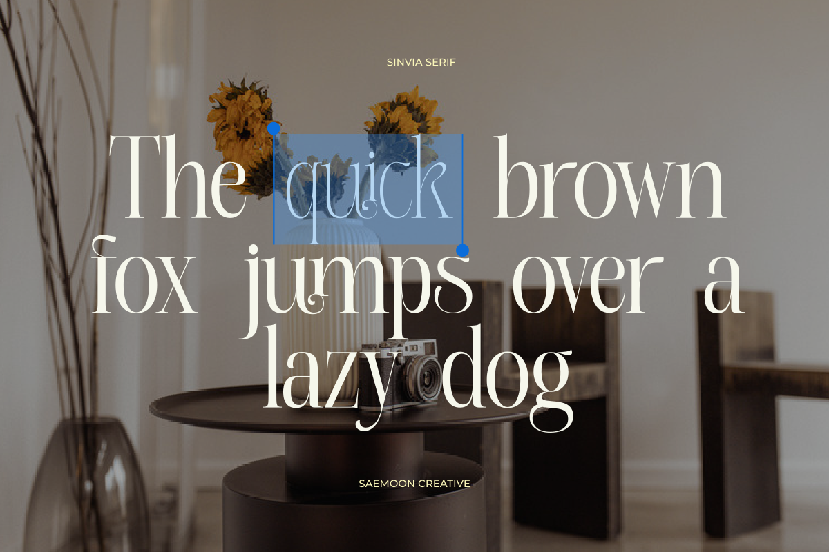 Sinvia, a Serif Font by saemoon creative (Photo 9 of 15)