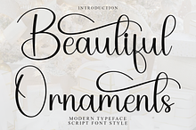 Beautiful Ornaments