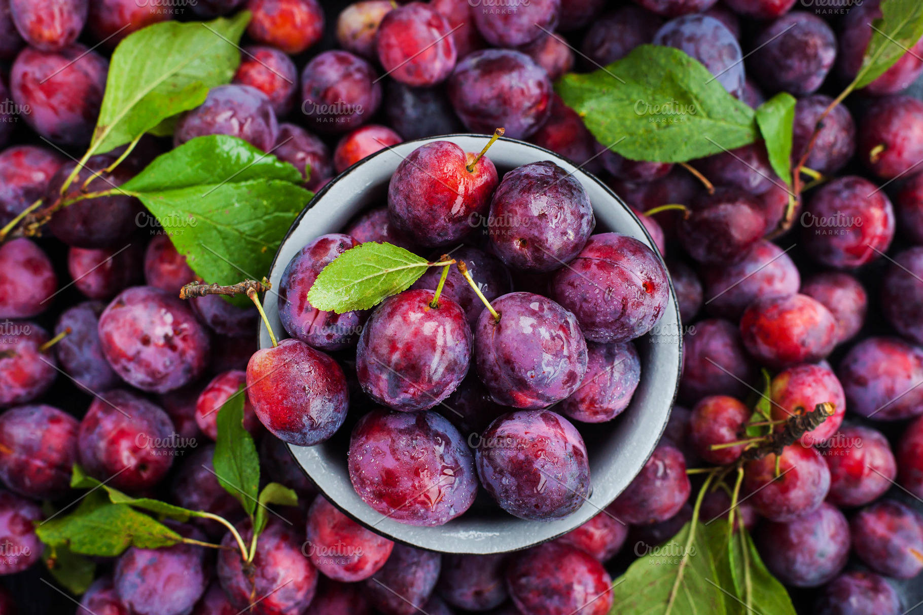 Fresh ripe autumn plums, a Food & Drink Photo by Kate S