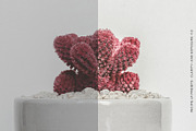 Professional Product LR Presets, an Action Add-On by BeArt-Presets (Thumbnail 9 of 14)
